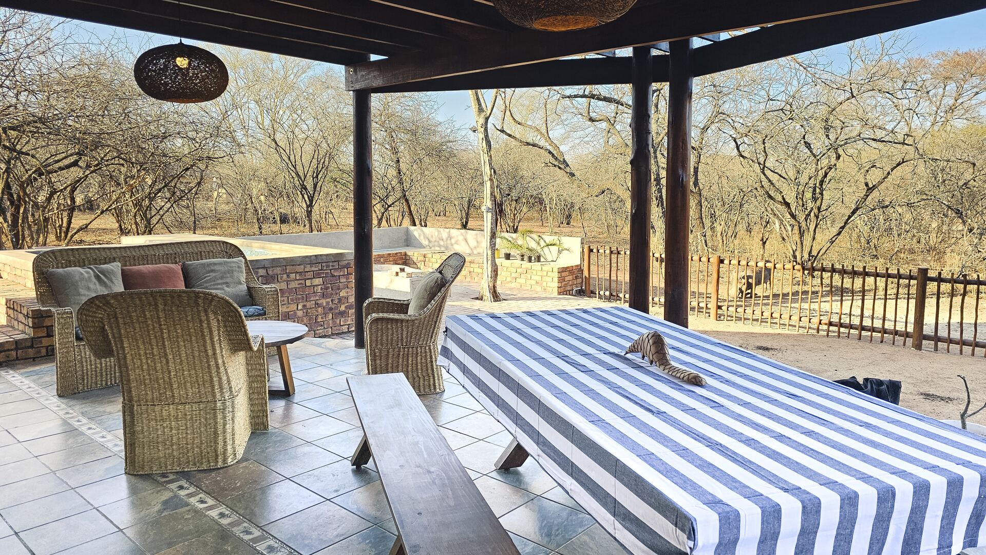 A warthog wandering past the boma at Kruger Umoya