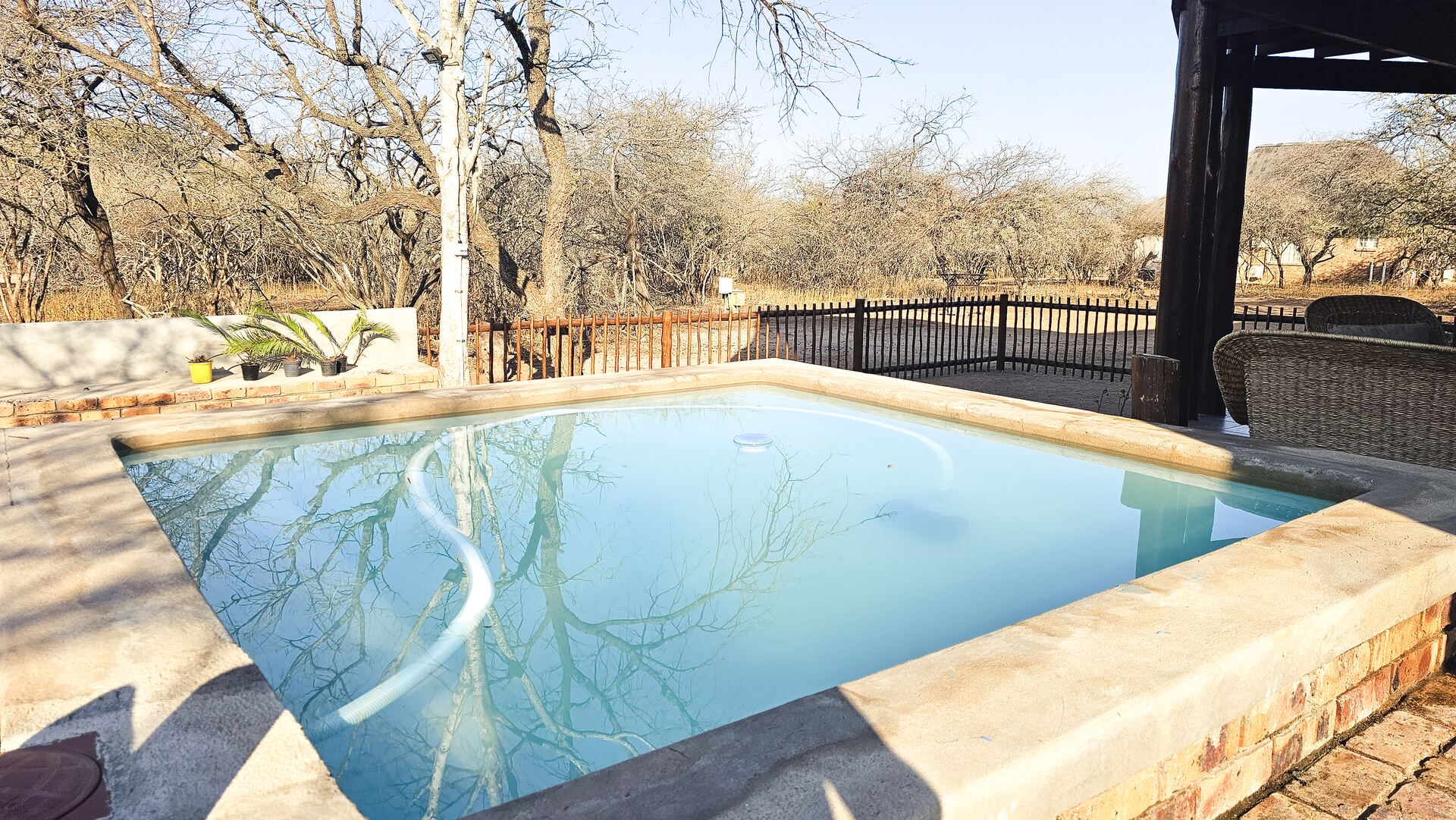 Pool at Kruger Umoya